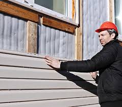 Best Siding Painting and Refinishing  in Downs, IL